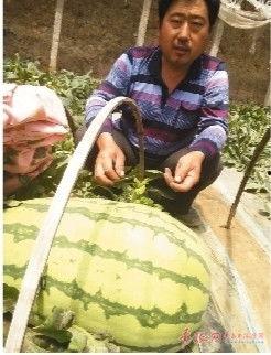 吃瓜说娱乐大西瓜,大西瓜带你领略娱乐圈新鲜事 第1张 吃瓜说娱乐大西瓜,大西瓜带你领略娱乐圈新鲜事 第1张